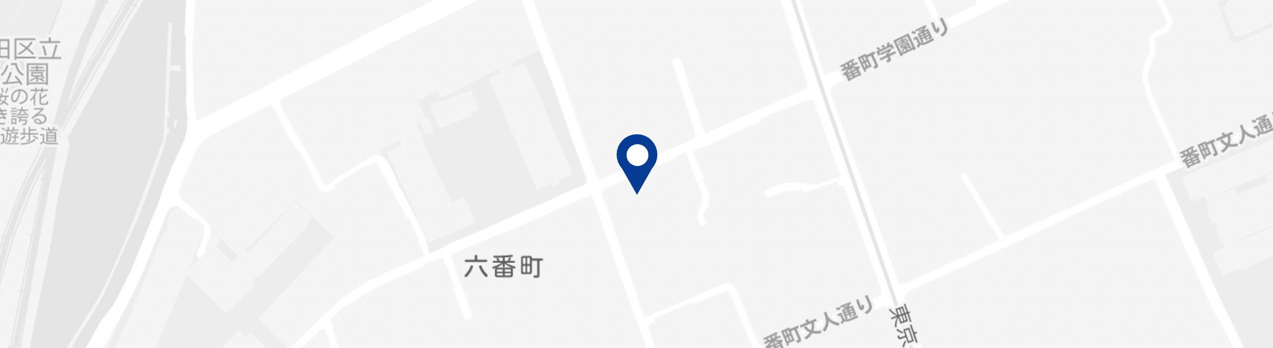 google_map_pic